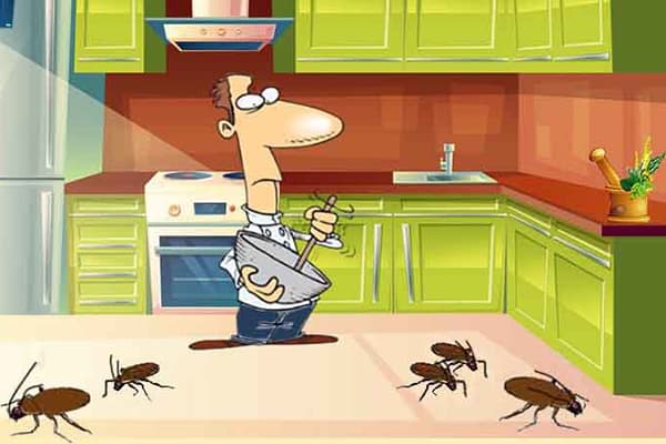 Mutfakta hamamböceği