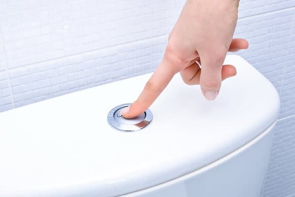Pressing a button on the toilet bowl